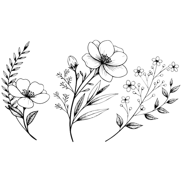 Minimal botanische grafische Skizze