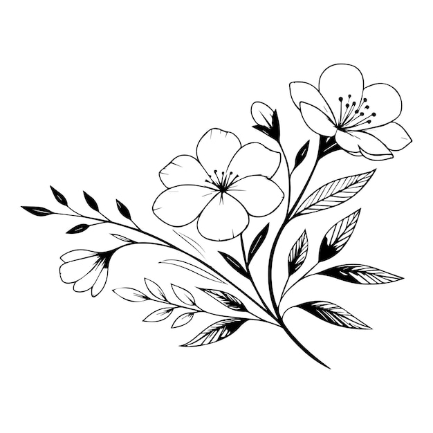 Minimal botanische grafische Skizze