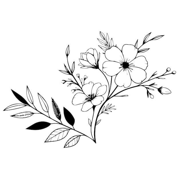 Minimal botanische grafische Skizze