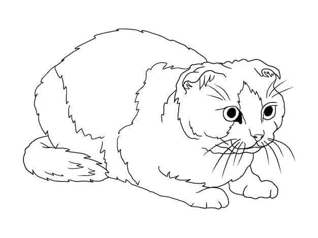 Minimalistische schwarz-weiße Katzenillustration für Malbücher