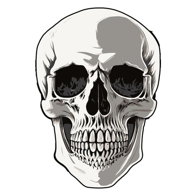 Minimalistischer menschlicher Schädel realistische Vektorgrafik Menschlicher toter Kopfschädel