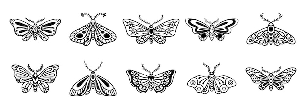 Mit der Hand gezeichnete Ikonensatz mit Motten-Doodle, Umrisse-Zeichnung, Mottenlinie, Clipart-Symbolensammlung