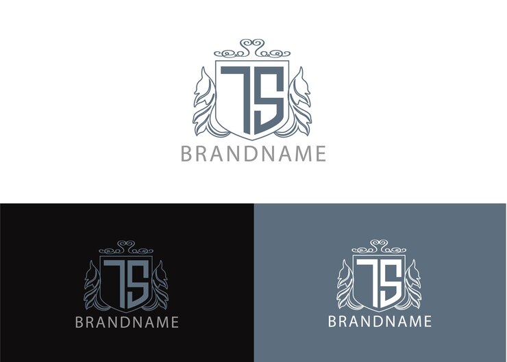 Vektor moderne monogramm-anfangsbuchstaben ts-logo-design-vorlage
