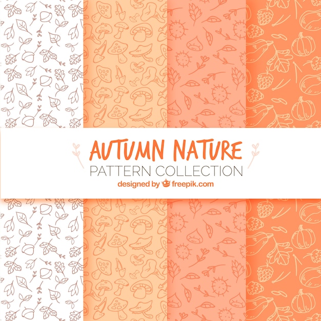 Moderne packung herbst natur muster