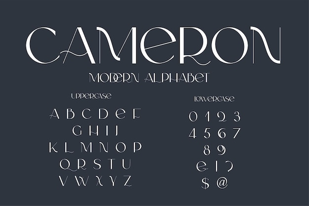 Moderne sans-serif-eleganz-schriftart klassische minimale kontrastreiche hochzeitsschrift nur in großbuchstaben