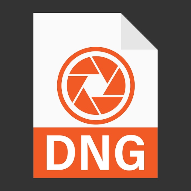 Modernes flaches design des dng-dateisymbols für das web