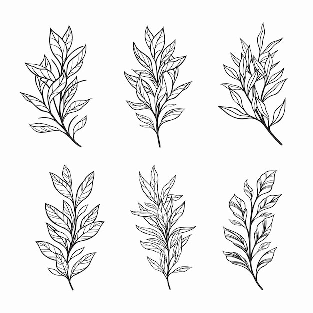 Vektor modische botanische elemente hand gezeichnete linienblätter zweige und blüten