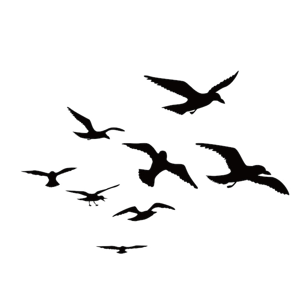 Möwenfliegen-Silhouette-Design Wildvögel-Zeichen und -Symbol