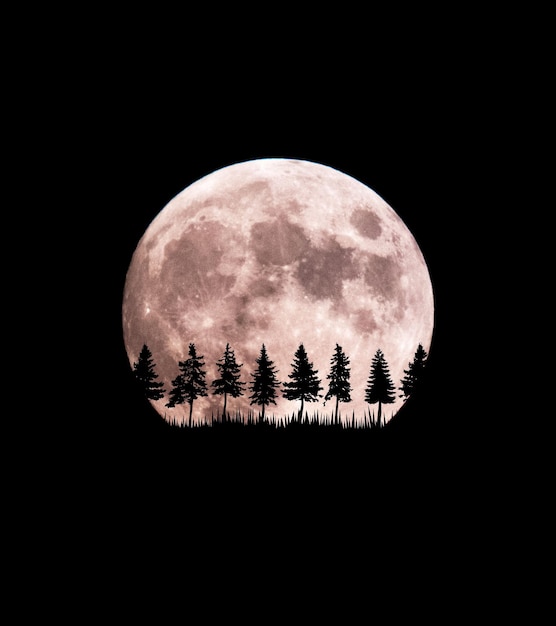 Mond in der Nacht Vektor