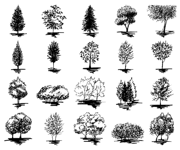 Monochrome baumsilhouette skizzierte linie kunstsatz isolierter vektor