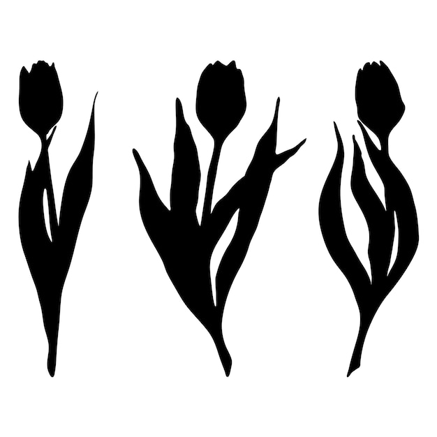 Monochrome schwarze tulpe frühlingsblume silhouette set isolierter vektor