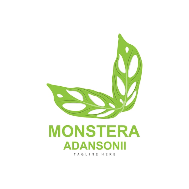 Monstera adansonii blatt logo grüne pflanze vektor baum vektor seltene blatt illustration