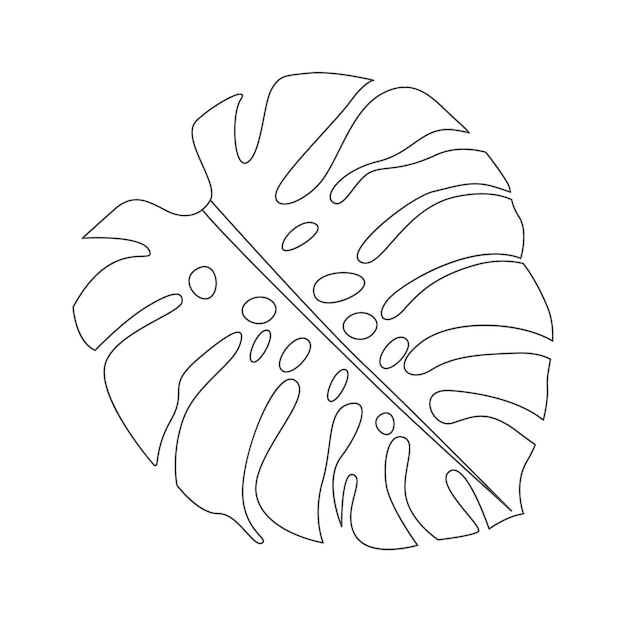 Vektor monstera-blatt eines tropischen pflanzenlinien-designelements