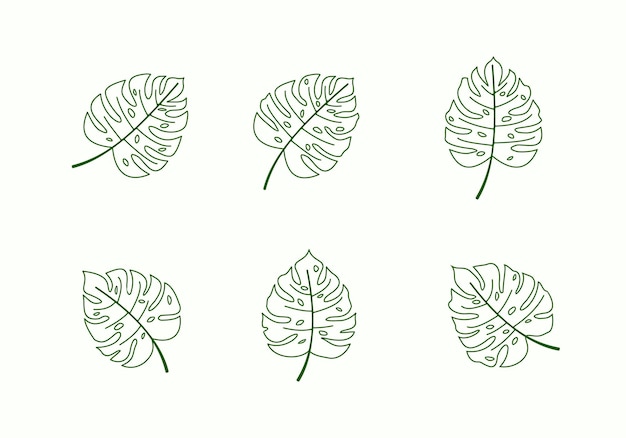 Monstera deliciosa dekorative Blatt-Design-Kollektion