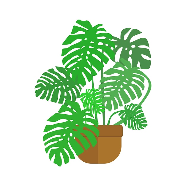 Monstera-pflanze im topf vektor-pflanzenillustration