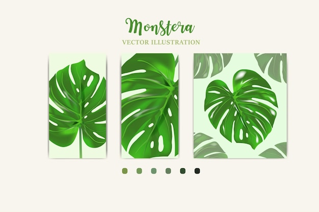 Monstera-pflanzenblatt aus tropischen wäldern ernten in realistischer vektorillustration