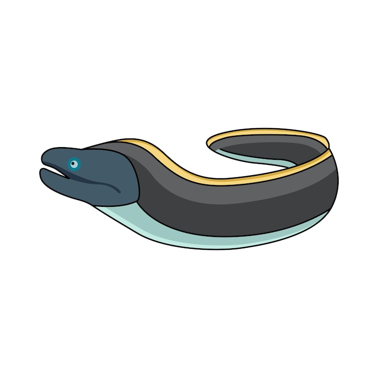 Vektor moray-eel