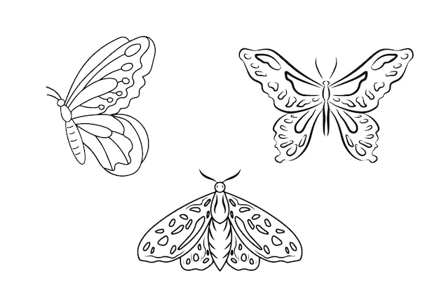 Vektor moth butterfly illustration für kinder malbuch und lernprojekt