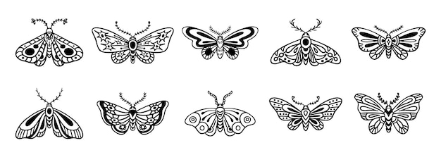 Moth-Droodle-Handgezeichnetes Symbol-Set Umrisse-Zeichnung Moth-Linie-Clipart-Symbol-Sammlung-Vektor