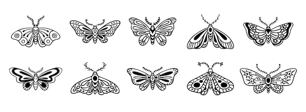 Moth-Droodle-Handgezeichnetes Symbol-Set Umrisse-Zeichnung Moth-Linie-Clipart-Symbol-Sammlung-Vektor