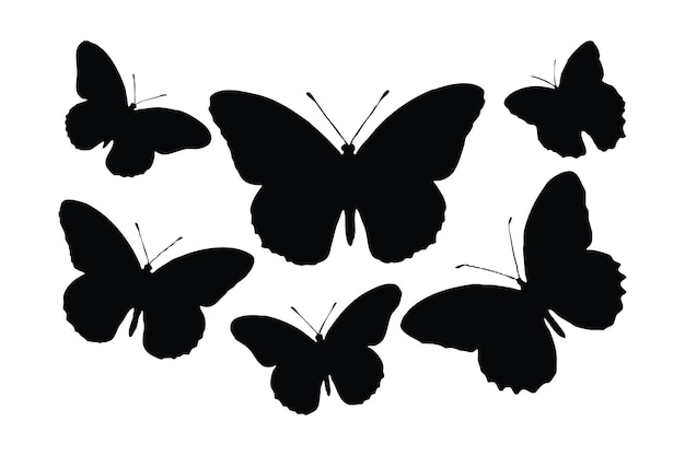 Motte und Schmetterling schwarz-weißes Silhouetten-Vektorbündel Wilde Schmetterlinge fliegen Silhouette-Bühnenbild Monarch stehend und sitzend Schmetterlinge-Silhouetten-Vektorsammlung auf weißem Hintergrund