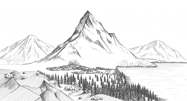 Mountainseewaldkiefer-felsenillustration.