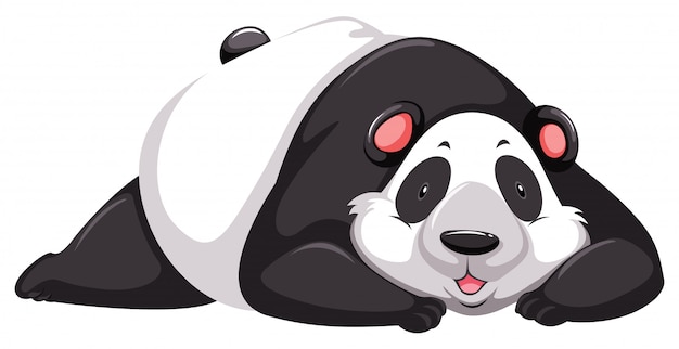 Müde pandabär
