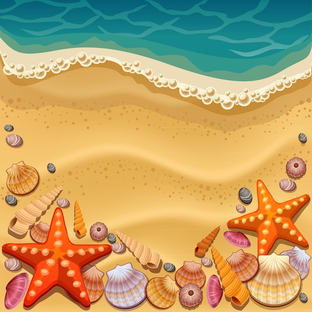 Muscheln auf der strandvektorillustration