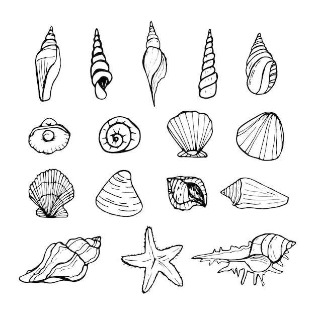 Muscheln-Doodle-Set Handgezeichneter Vektormeerverkauf Vektorillustration