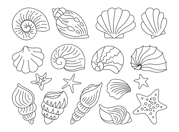 Vektor muscheln gekritzel handgezeichnetes set ozean seestern molluskenmuschel sinken unter wasser design vektor