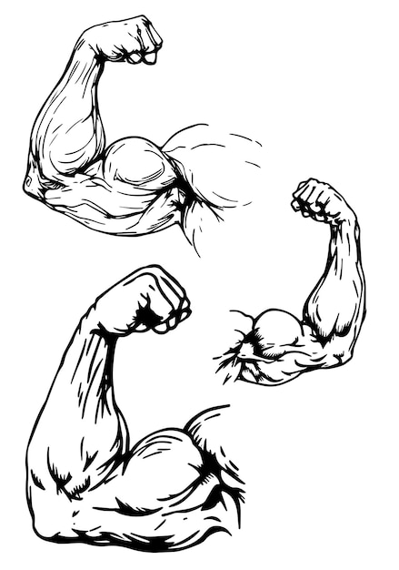 Muskulöse Hände und Arme eines starken Mannes Bodybuilder Skizze Gravur Vektor-Illustration