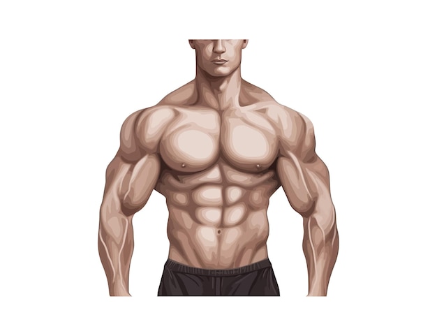 Muskulöser mann torso fitness vektor-illustrationsdesign