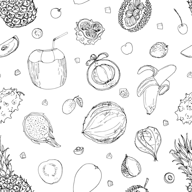 Muster Frische Lebensmittel Wassermelone Melone Granatapfel Aprikose Persimone Linie auf weißem Hintergrund Vektor-Illustration gezeichnet