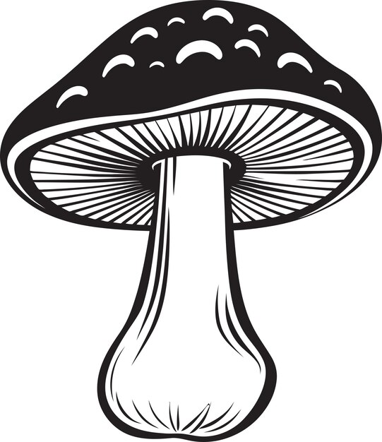 Mycelium Melody Vector Pilz Logo Design Spore Spiral Pilz Icon