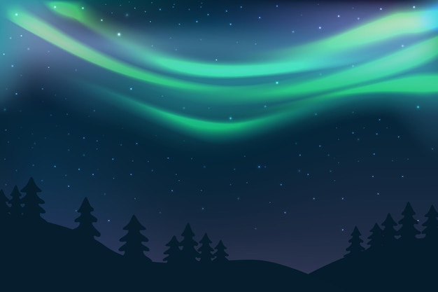 Nachthimmel mit Aurora über Fichtenwaldgrünem Nordlicht und Sternenpolarlicht, das im Winter glüht