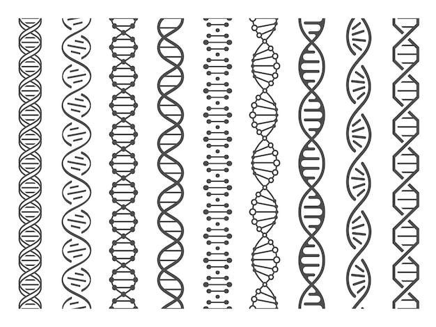 Nahtlose dna-spirale. adn helix struktur, genommodell und humangenetik code muster illustration set