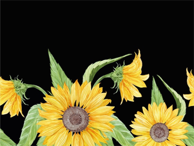 nahtlose Grenze Aquarell gelbe Sonnenblumen mit grünen Blättern auf schwarzem Hintergrund