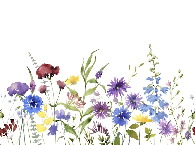 Nahtlose Grenze mit Aquarell-Wildblumen