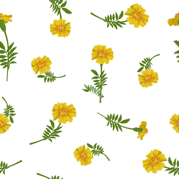 Nahtlose vektorillustration mit gelben ringelblumen auf weißem hintergrund