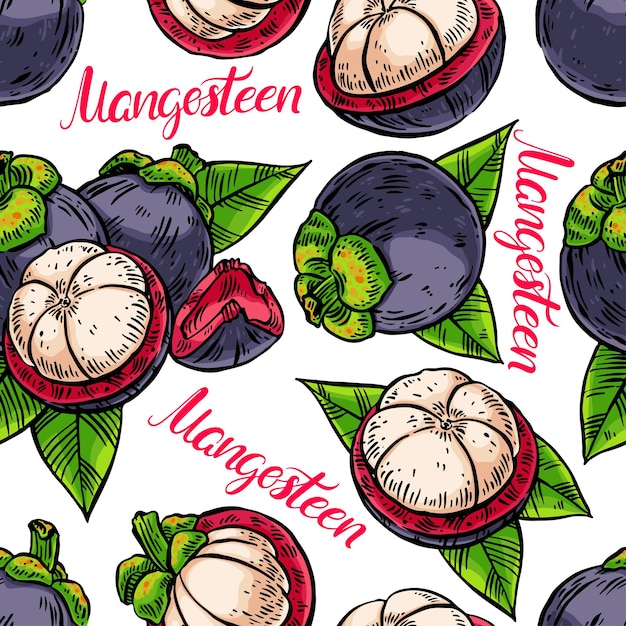 Nahtloser hintergrund mit appetitlichen köstlichen bunten mangostanfrüchten. handgezeichnete illustration