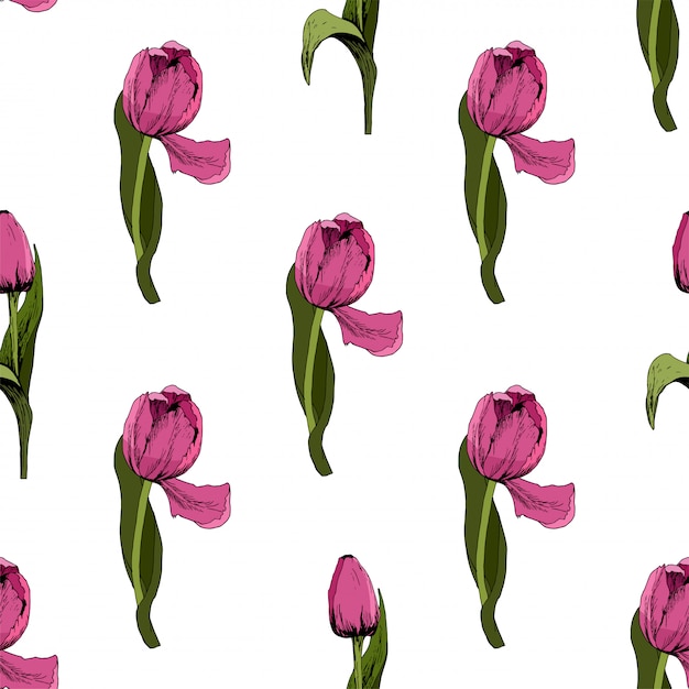Vektor nahtloser hintergrund mit farbigen rosa tulpen