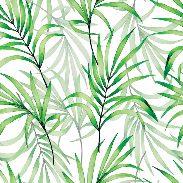 Nahtloses aquarellmuster mit tropischen transparenten palmblättern grüne tropische blätter auf einem weißen