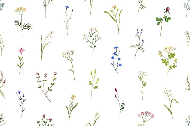 Nahtloses blumenmuster. hintergrund mit wildblumen und kräutern. romantischer botanischer druck mit feldblüten. wiederholte textur für verpackungen und textilien. farbige flache vektorillustration zur dekoration