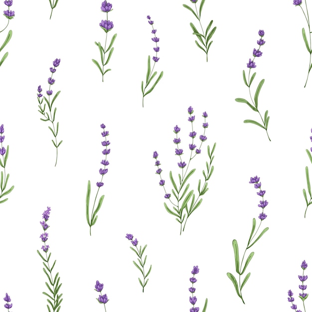 Vektor nahtloses blumenmuster mit lila lavendel botanischer hintergrund französische violette blüten wiederholende druck blühende kräuter texturdesign mit provence lavendelblüten handgezeichnete vektorillustration