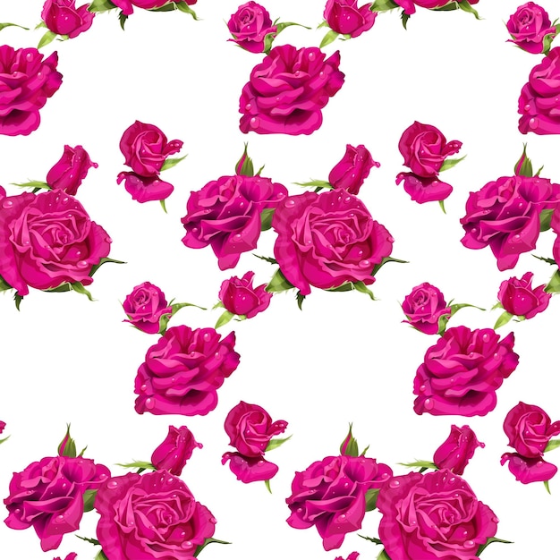 Nahtloses muster aus rosa rosen auf weißem hintergrund