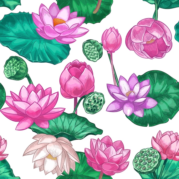 Nahtloses Muster des rosa Lotus. Sanfte Seerosenblüten, rosa Lotus. Dekoratives tropisches Design für Ayurveda-Pflegeprodukte Vektortextur. Nahtlose Blumen- und Floradesignillustration