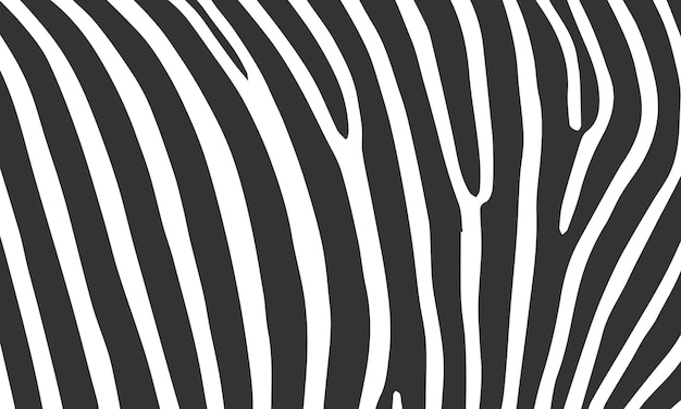 nahtloses Muster mit Zebrahaut