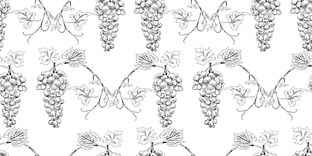 Nahtloses vektormuster von skizzen rebenzweige reifer traubenbeeren bündel blätter und zwiebeln