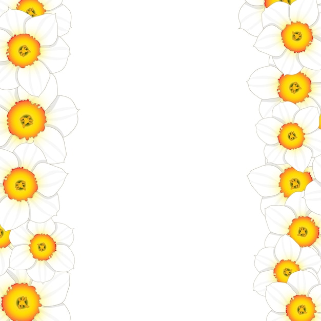Narzissen-Blumen-Grenze