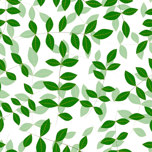 Natürliche frische grüne Blätter des Frühlinges auf Weiß